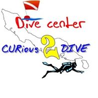 Curious 2 Dive